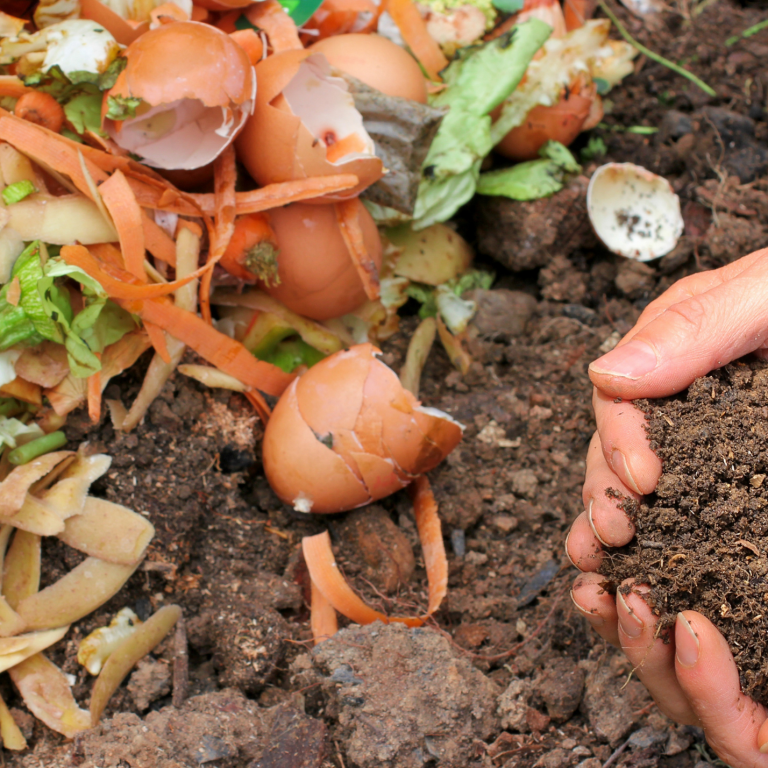 Composting efforts